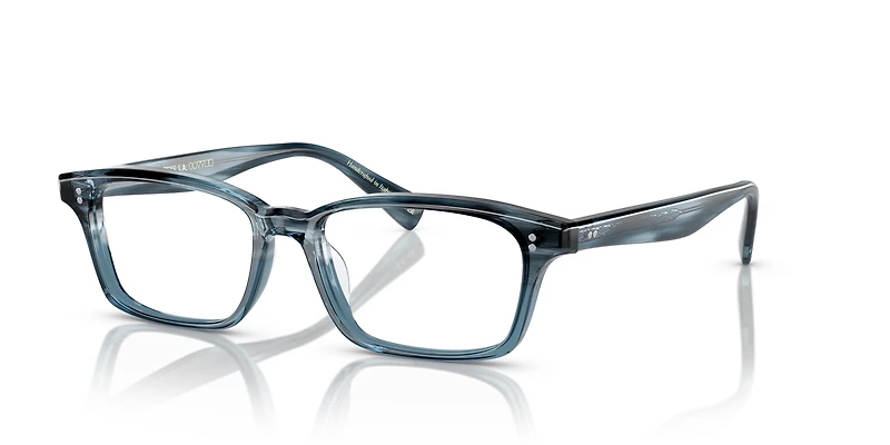 OV5501U Edelson