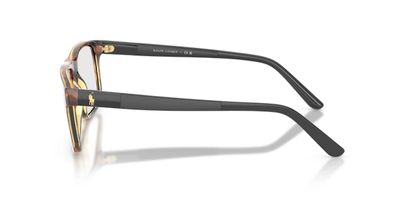 Polo Ralph Lauren Man Shiny Dark Havana