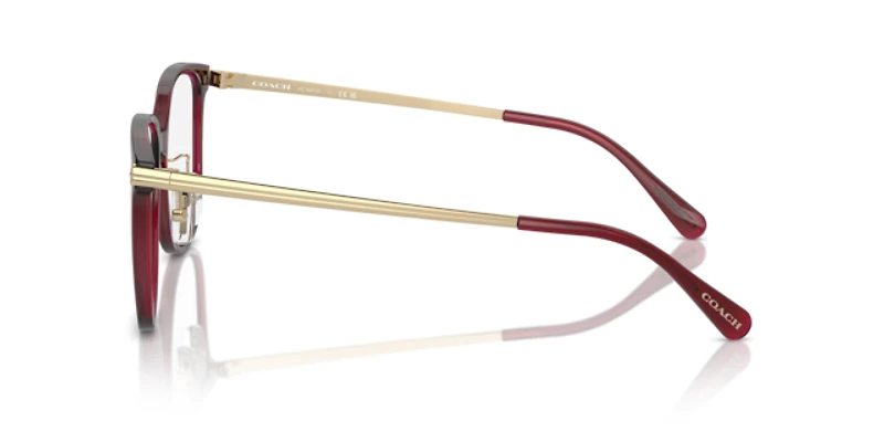 Coach Woman Transparent Burgundy