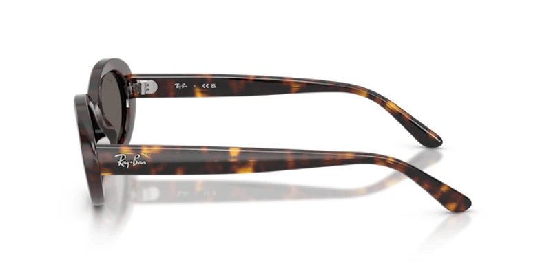 Ray-Ban Woman Havana