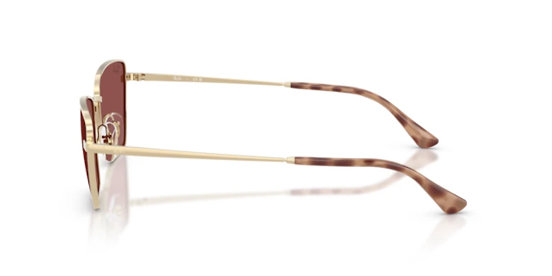Ray-Ban Unisex