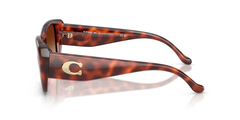 Coach Woman Caramel Tortoise