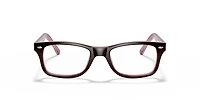 RB5228 Optics