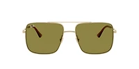 RB3758 Ari Bio-Based