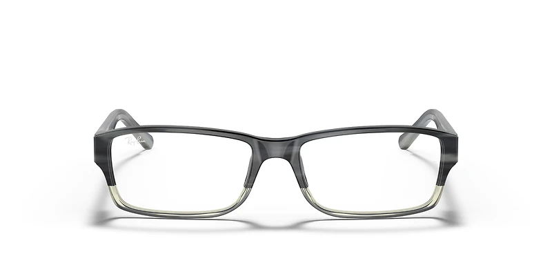 RB5169 Optics