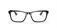 RB5279 Optics