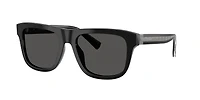 DG4545