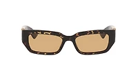 Bottega Veneta Unisex Tortoise