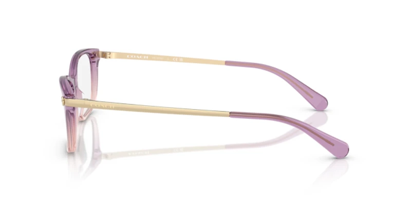 Coach Woman Pink Gradient
