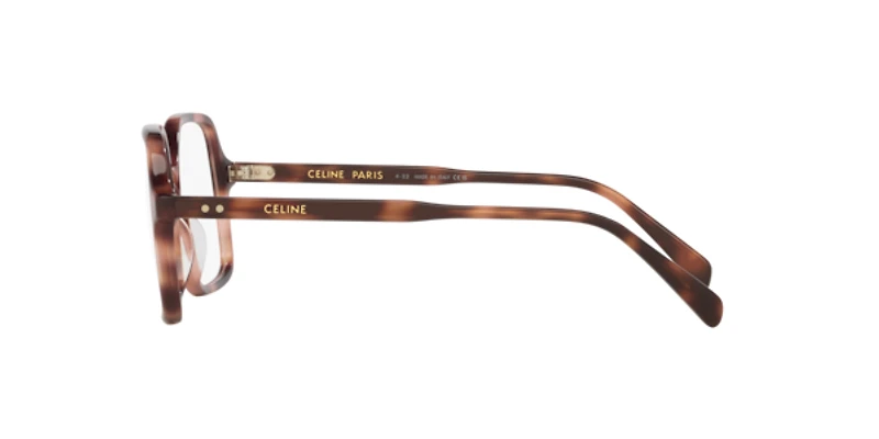 Celine Woman Tortoise