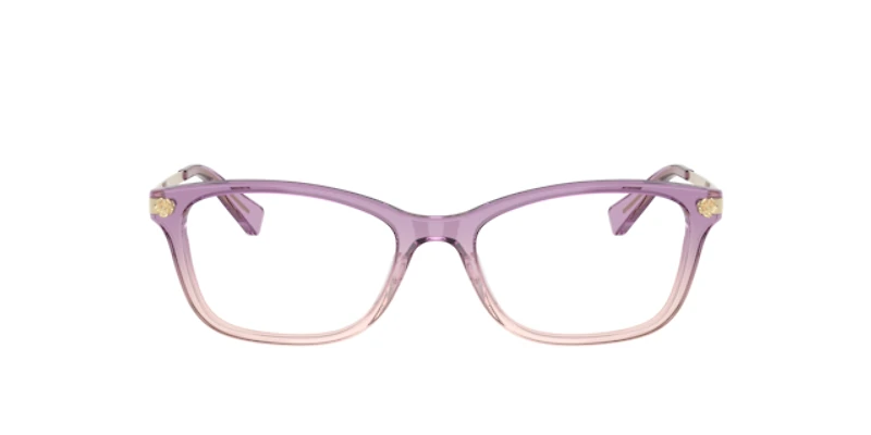 Coach Woman Pink Gradient