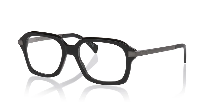 Celine Combi CL50178I