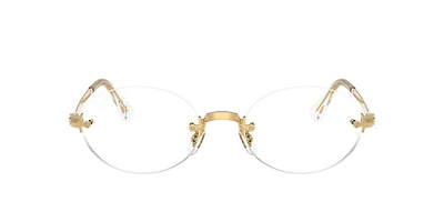 RB3929V Optics By A$AP Rocky