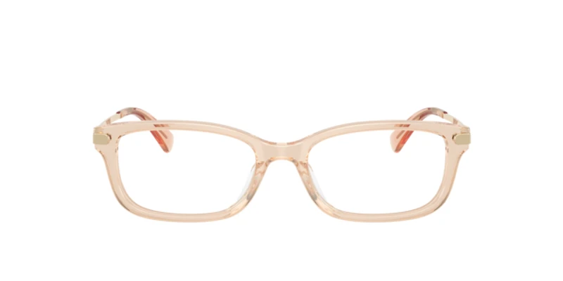 Coach Woman Transparent