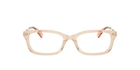 Coach Woman Transparent