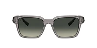 Ferrari Unisex Transparent Grey