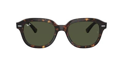 RB4398 Erik