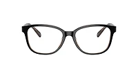 Coach Woman Black, Transparent Blush