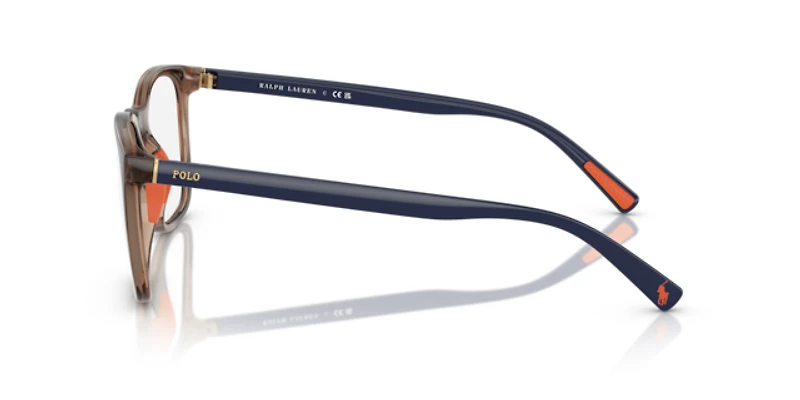 Polo Ralph Lauren Man Shiny Dark Havana