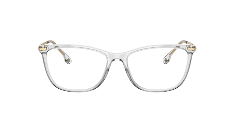 Versace Woman Transparent Grey