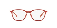 RB8955 Optics