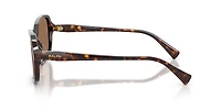 Ralph by Ralph Lauren Woman Shiny Dark Havana