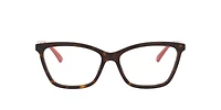 Gucci Woman Tortoise