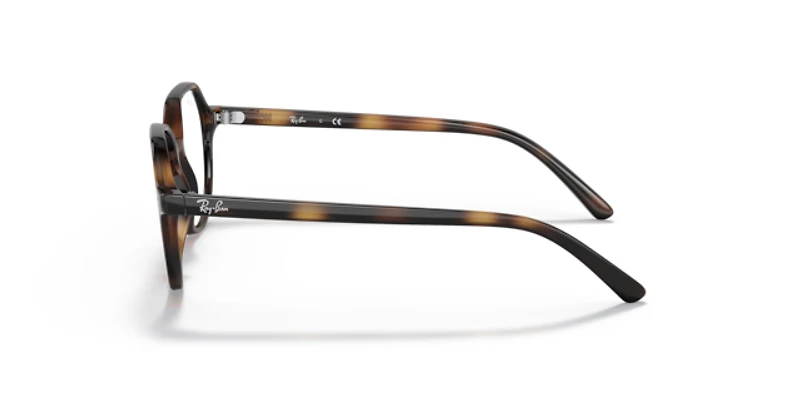 Ray-Ban Unisex Havana
