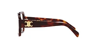 Celine Woman Tortoise Blonde