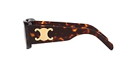 Celine Woman Tortoise