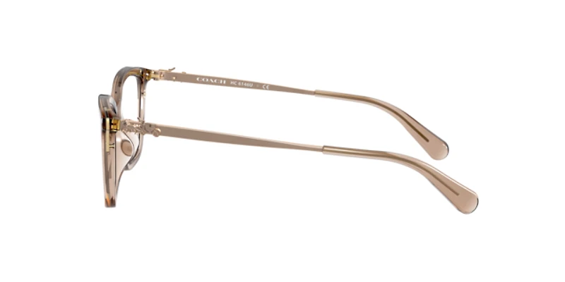 Coach Woman Transparent Brown