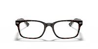 RB5286 Optics