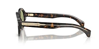 Moncler Unisex Brown Green Havana