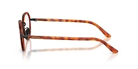 Giorgio Armani Man Brown Turtle