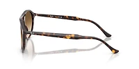Ray-Ban Unisex Havana