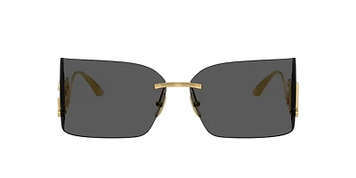 DG2319