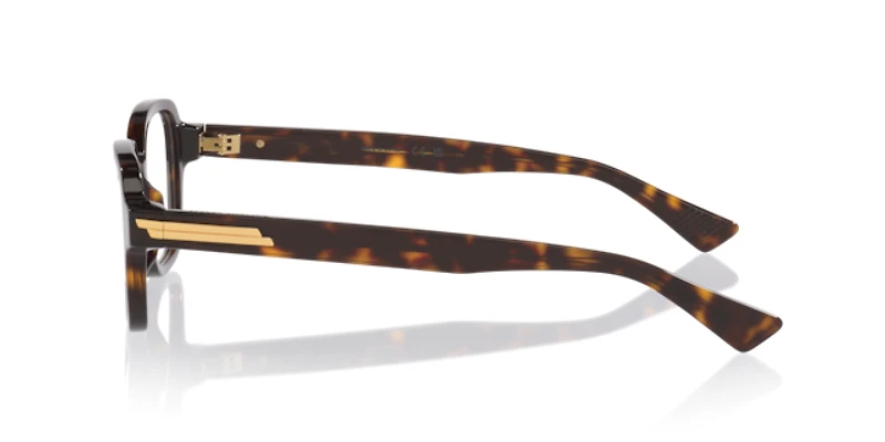 Bottega Veneta Man Tortoise