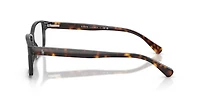 Polo Ralph Lauren Man Shiny Transparent Grey
