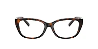 TF2254BU