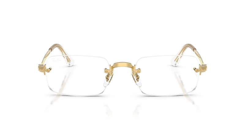 RB3928V Optics By A$AP Rocky