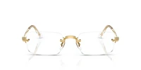 RB3928V Optics By A$AP Rocky