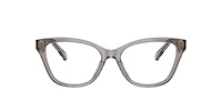 Tory Burch Woman Transparent