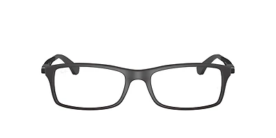 RB7017 Optics