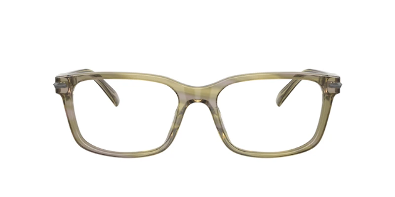 Michael Kors Man Olive Horn