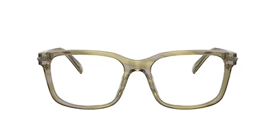 Michael Kors Man Olive Horn