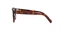 Celine Woman Tortoise