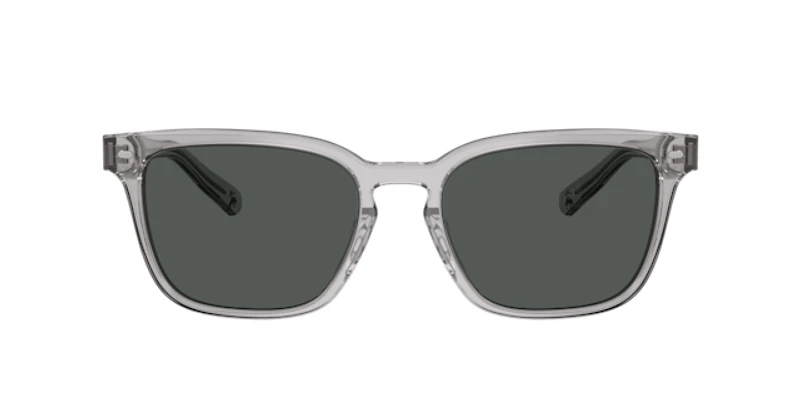 Brooks Brothers Man Grey Transparent