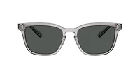 Brooks Brothers Man Grey Transparent