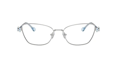 SK1006