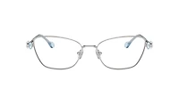SK1006